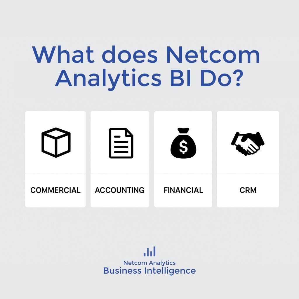Τι κάνει το Netcom Analytics BI;